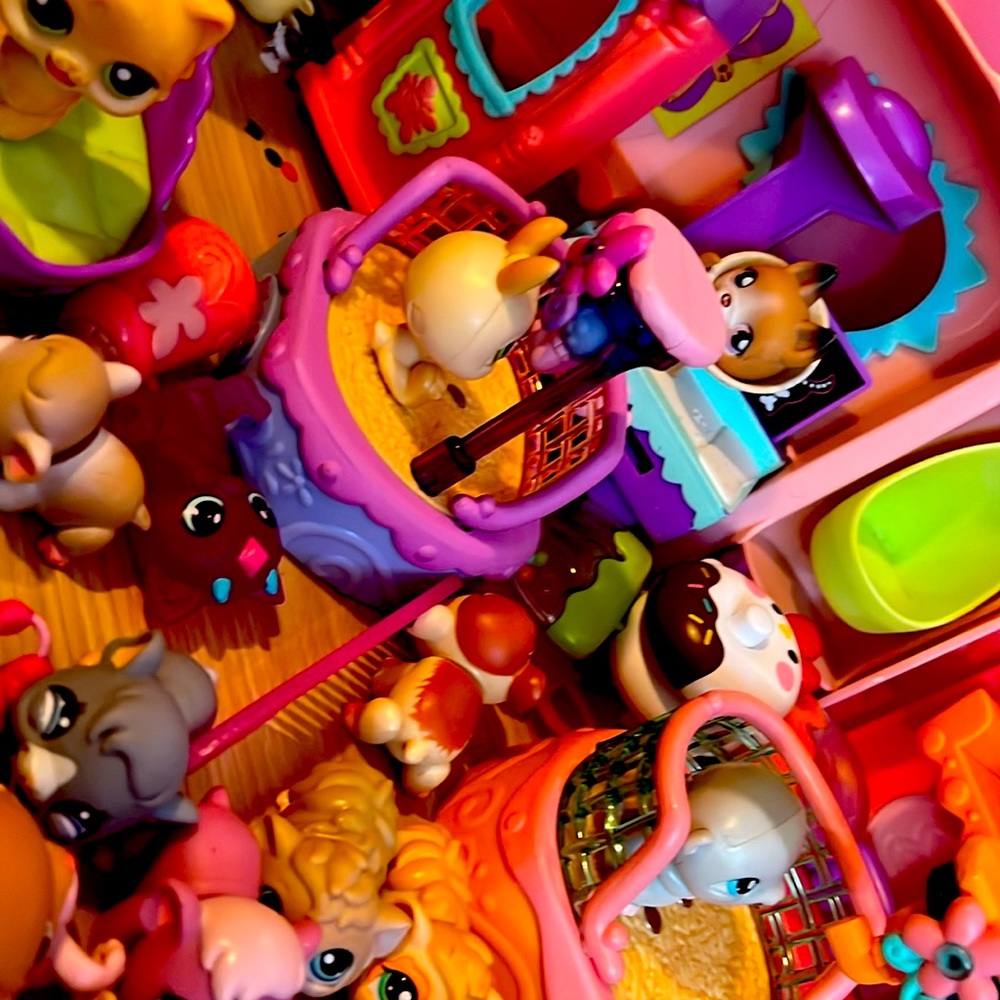 ISO littlest pet shop lots.